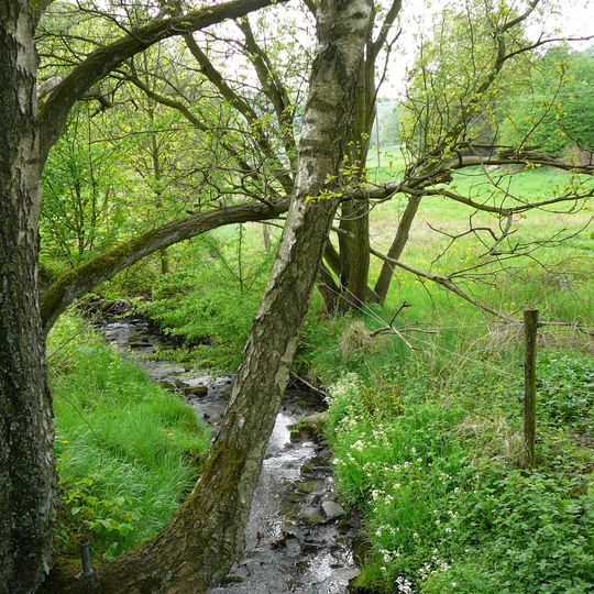 NSG Hardenberger Bachtal