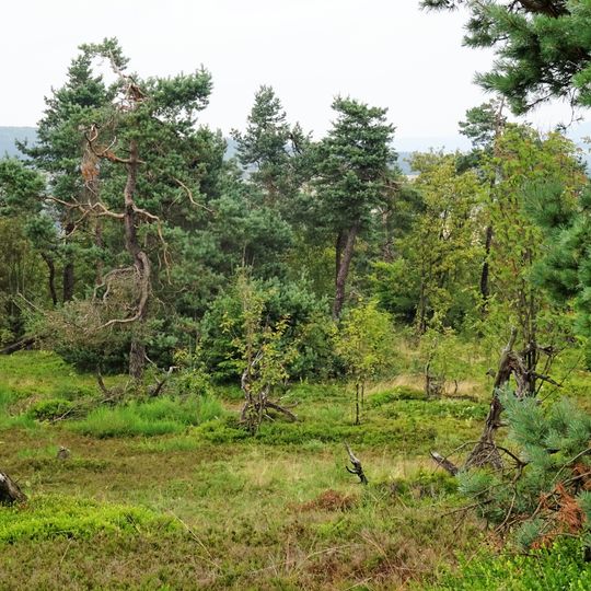 Kahle Pön bei Usseln
