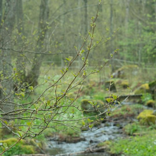 Jättadalen-Öglunda grottor