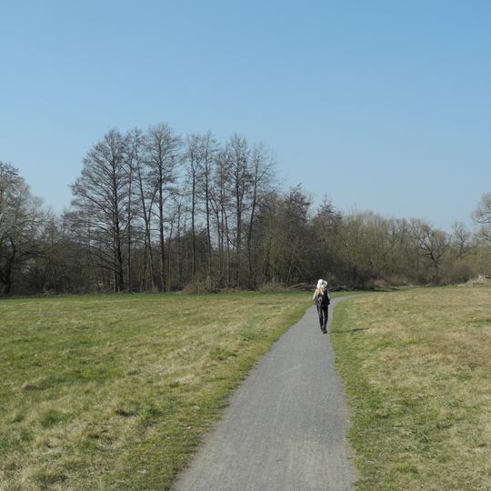 Krautwiese am Wesebach