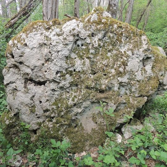 Menhir de la Roche à Blin
