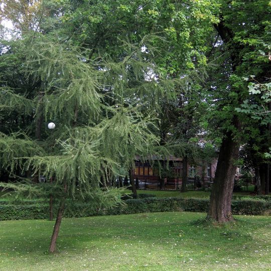 Park on Łukasińskiego street in Częstochowa