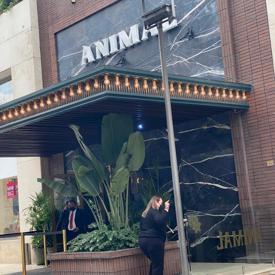 Animal Masaryk