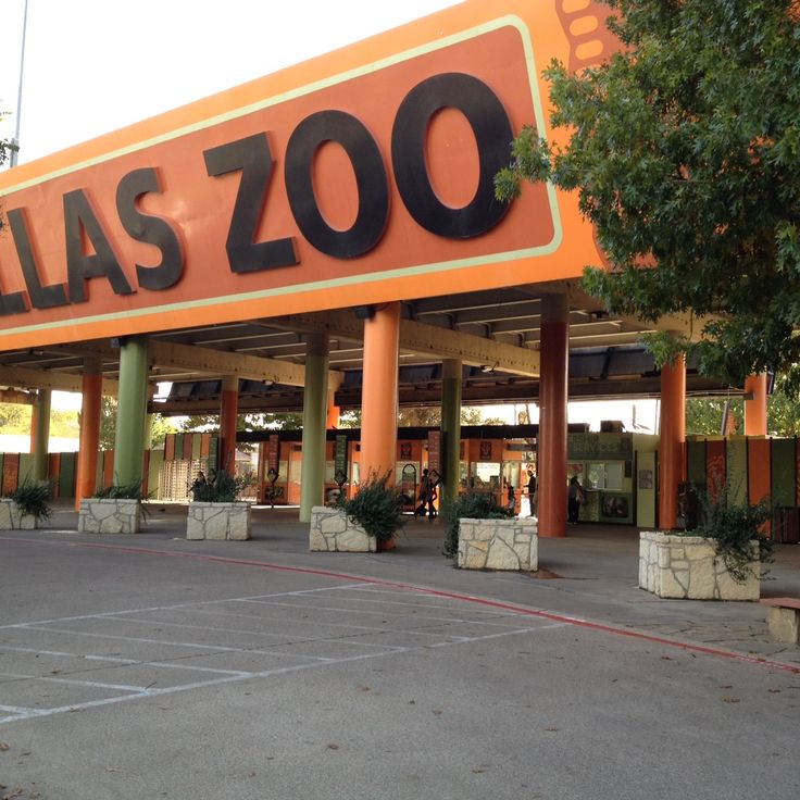 Zoo w Dallas