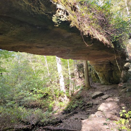 Pomona Natural Bridge