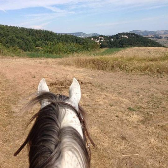 Riserva naturale orientata di Sassoguidano