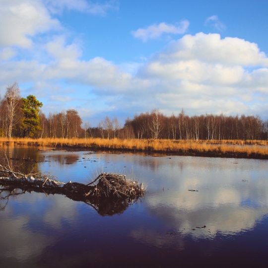 Diepholzer Moorniederung