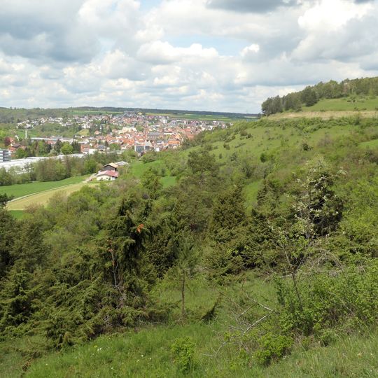 Wacholderheide Wurmberg und Brücklein