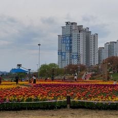 Gapcheon Ecological Park