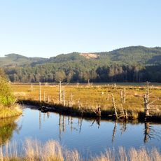 Siletz Bay National Wildlife Refuge