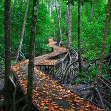 Parque marino de la Gran Barrera de Coral