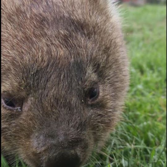 Tralaga Wildlife park