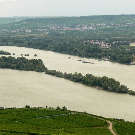 Rüdesheimer Aue