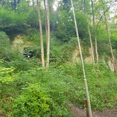 Groeve het Paradijsbergske I