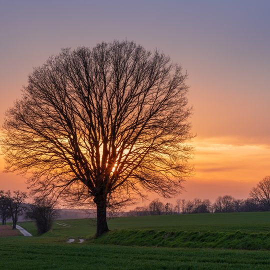 Neckarbischofsheimer Höhen