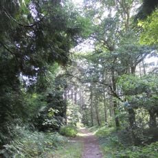 Forêt d'Écault