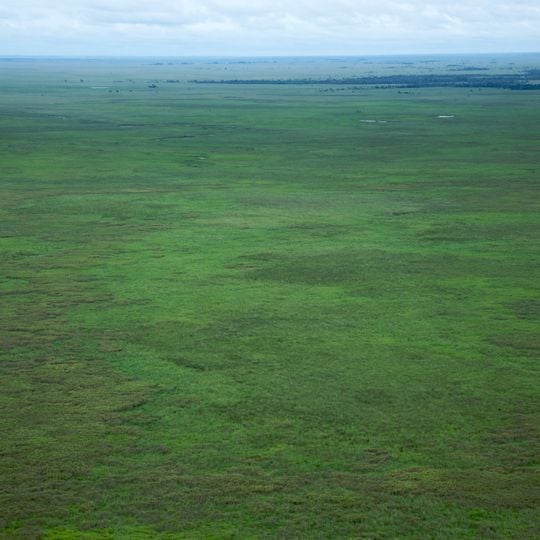 Beni Biological Station Biosphere Reserve