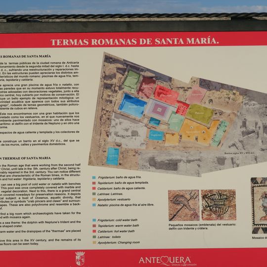 Termas romanas de Santa María la Mayor