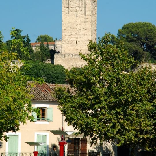 Castle of Sommières