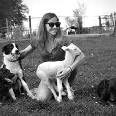 L'Arche de Julie - Ferme pédagogique