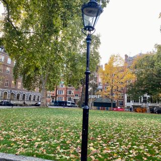 10 Lamp Standards Round Central Green Of Dean's Yard