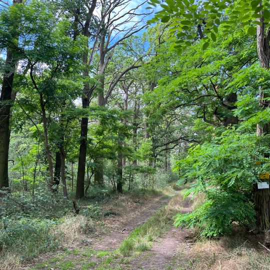 Alte Elster und Rieke