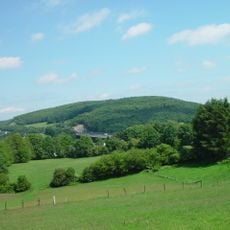 Ehrenberg (Rheinisches Schiefergebirge)