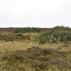 Cubbie Roo's Burden, chambered cairn, Rousay
