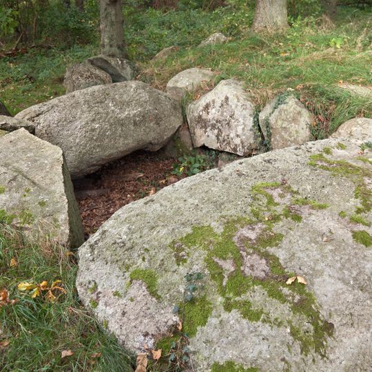 Großdolmen von Dwasieden