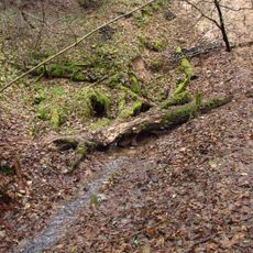 Springs of Glehn's Park