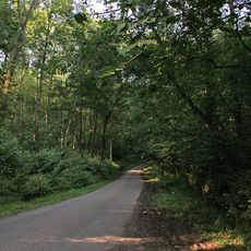Leighfield Forest SSSI