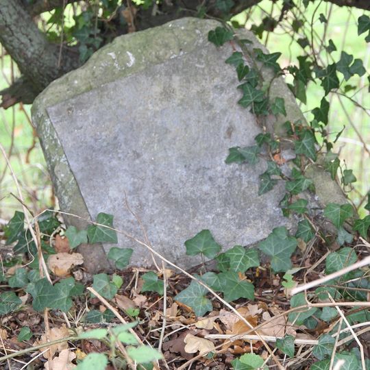 Milestone, Bromfield Road, opp. Ludlow School