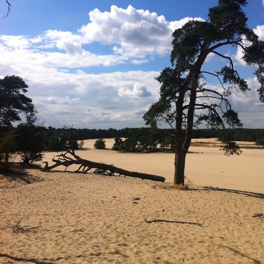 Parco nazionale De Loonse en Drunense Duinen