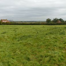 Whimpton Moor medieval village and moated site