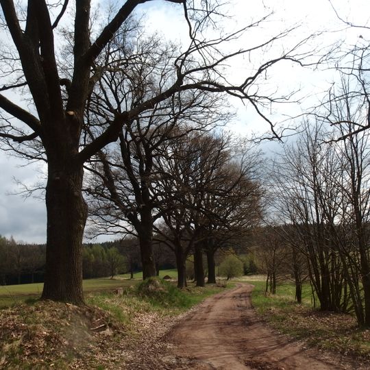 Dubové stromořadí u Třeště