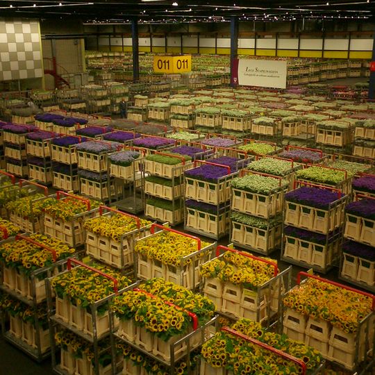 Aalsmeer Flower Auction