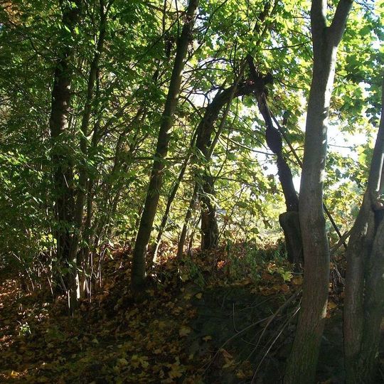 Kříž u polní cesty v Předboři