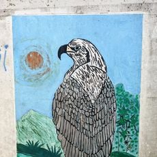 Graffiti