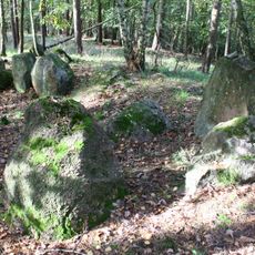 Großsteingrab SÜP 1