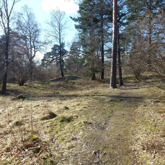 Edsängens gravfält