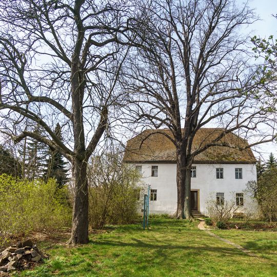 Tilia cordata in Neußen