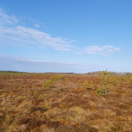 Lielais un Pemmes purvs