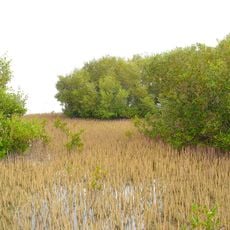 Nabq Reserve