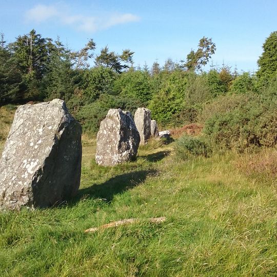Finn McCool's Fingers