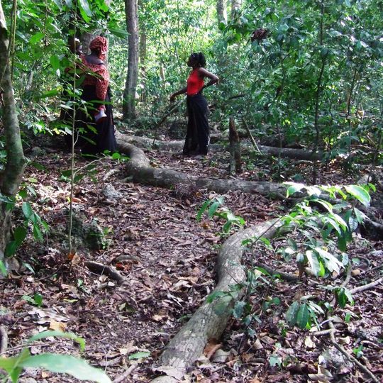 Foreste sacre dei Kaya