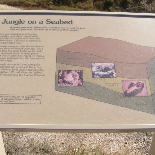 Yellow Mounds Overlook