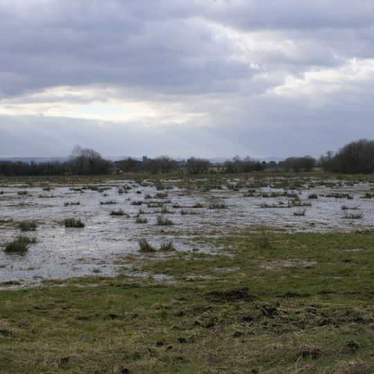 King's Sedgemoor