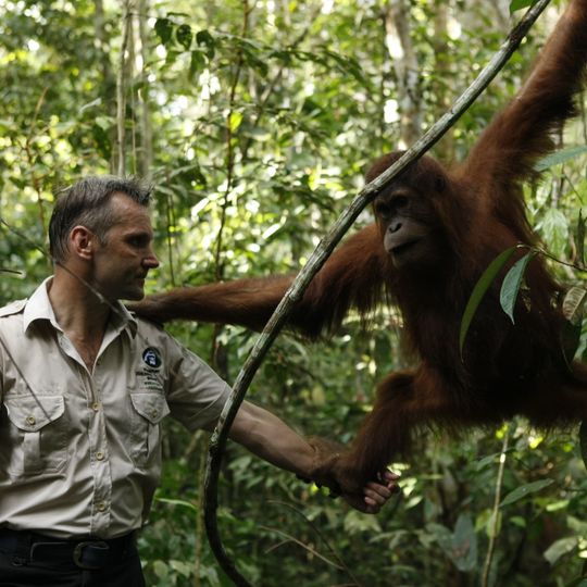 Bukit Tigapuluh National Park