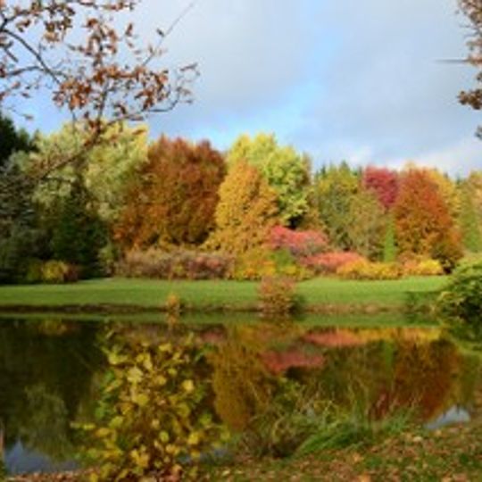 Izidoriaus Navidansko parkas