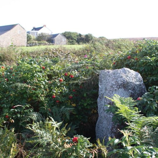 Leswidden Stone, 370m south west of Leswidden